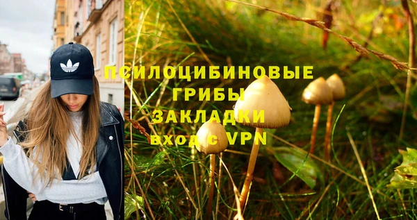 гидра Белокуриха
