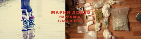 мяу мяу мука Рославль