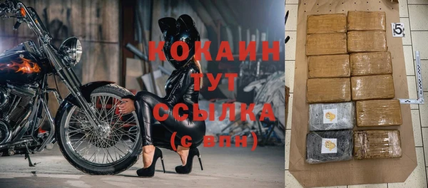 гидра Белокуриха