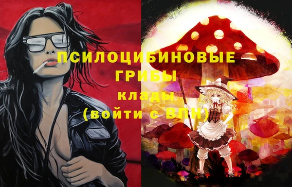 ГАЛЛЮЦИНОГЕННЫЕ ГРИБЫ Белоозёрский