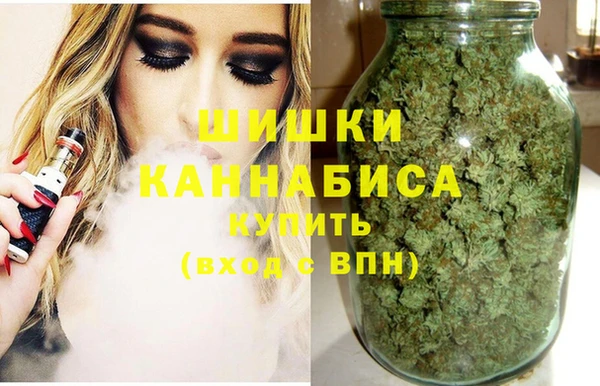 гидра Белокуриха