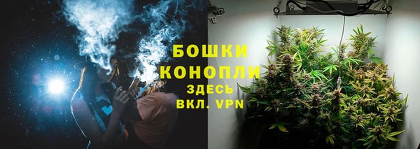 гидра Белокуриха