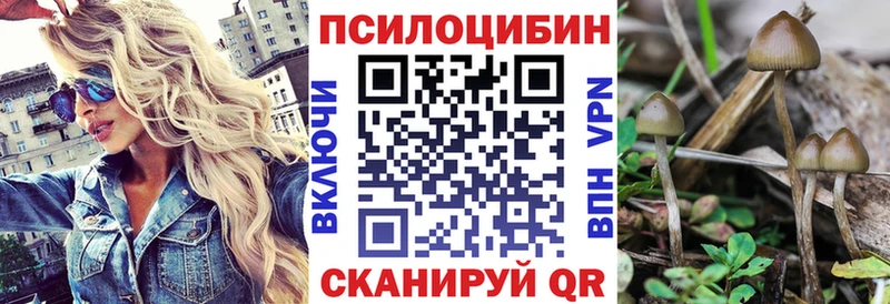 Псилоцибиновые грибы GOLDEN TEACHER  Луховицы 